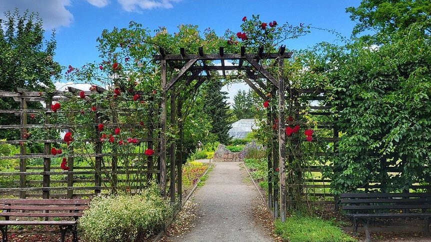Botanischer Garten Chemnitz, Chemnitz, Germany, Germany